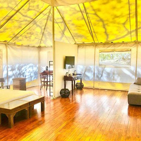 ホテルHyla Nature Retreat San José Pinilla エクステリア 写真
