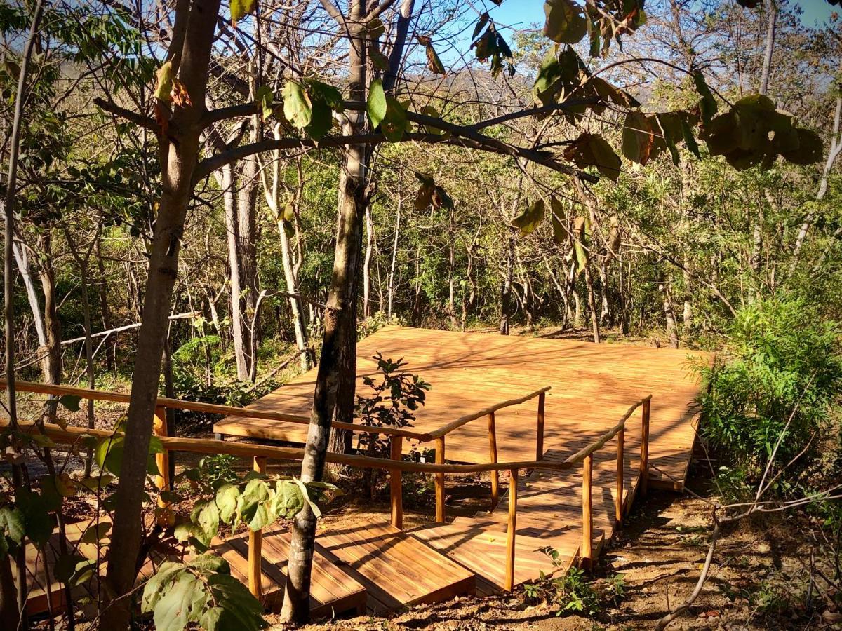 ホテルHyla Nature Retreat San José Pinilla エクステリア 写真