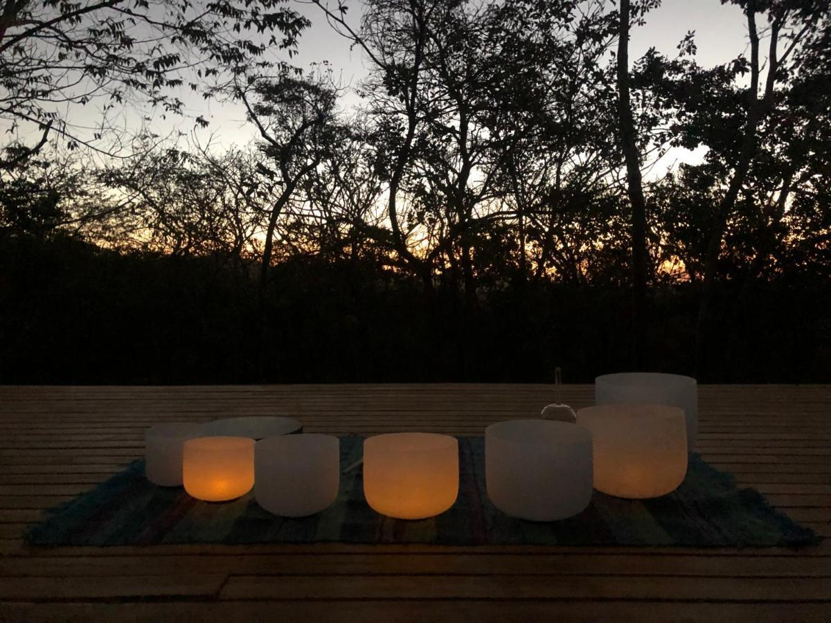 ホテルHyla Nature Retreat San José Pinilla エクステリア 写真