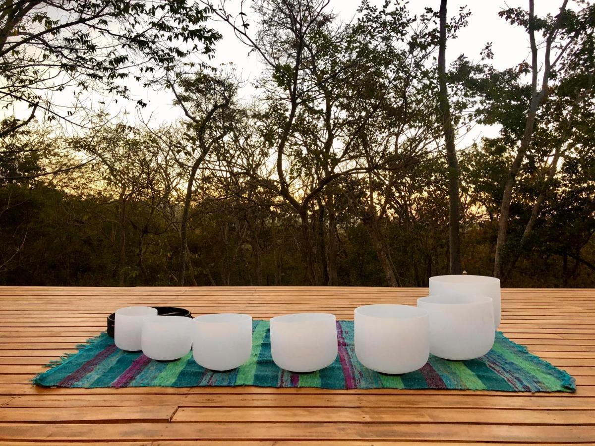 ホテルHyla Nature Retreat San José Pinilla エクステリア 写真