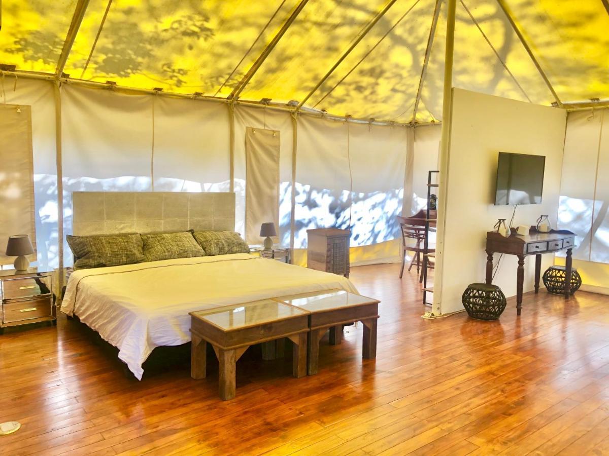 ホテルHyla Nature Retreat San José Pinilla エクステリア 写真