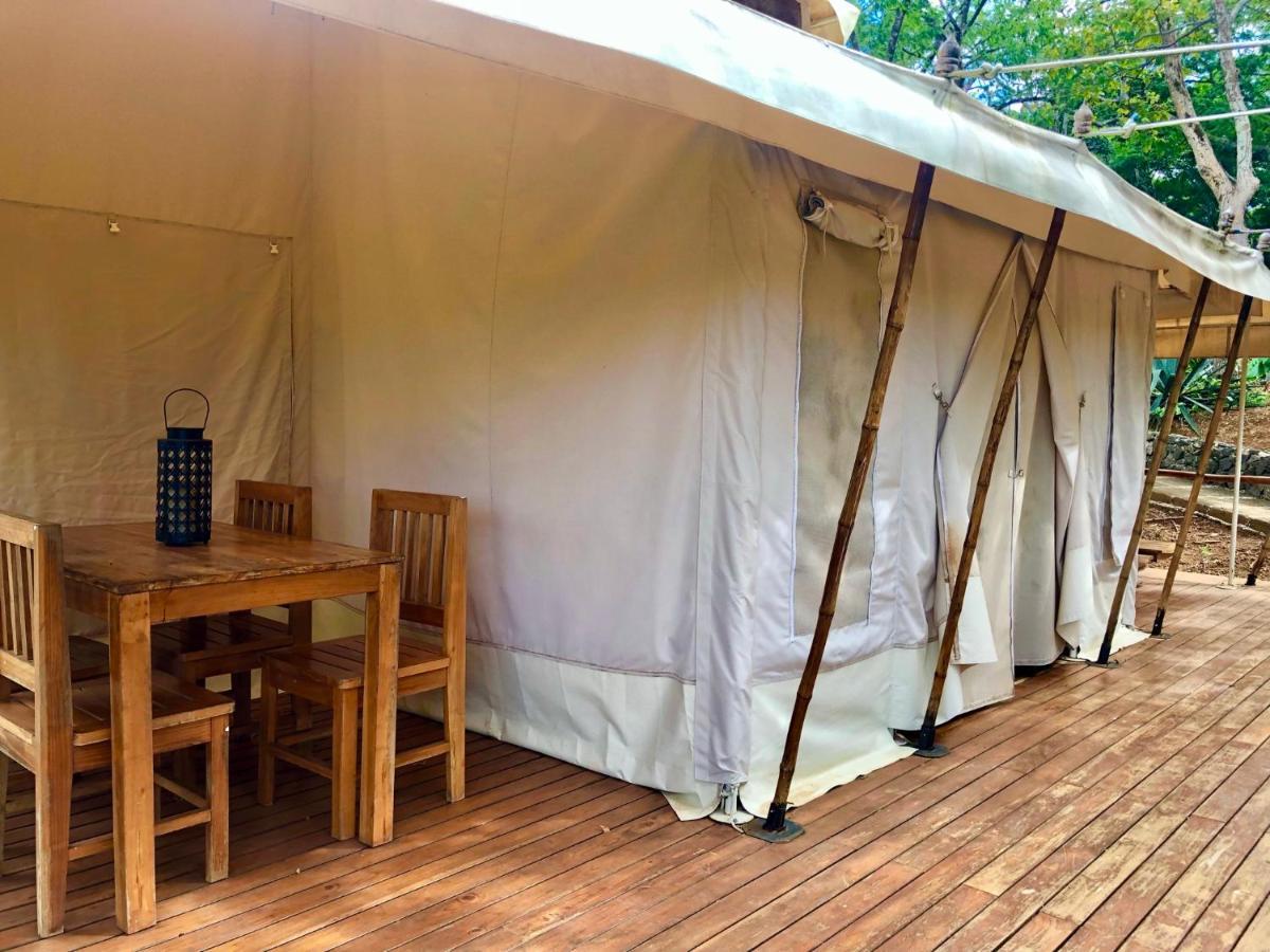 ホテルHyla Nature Retreat San José Pinilla エクステリア 写真