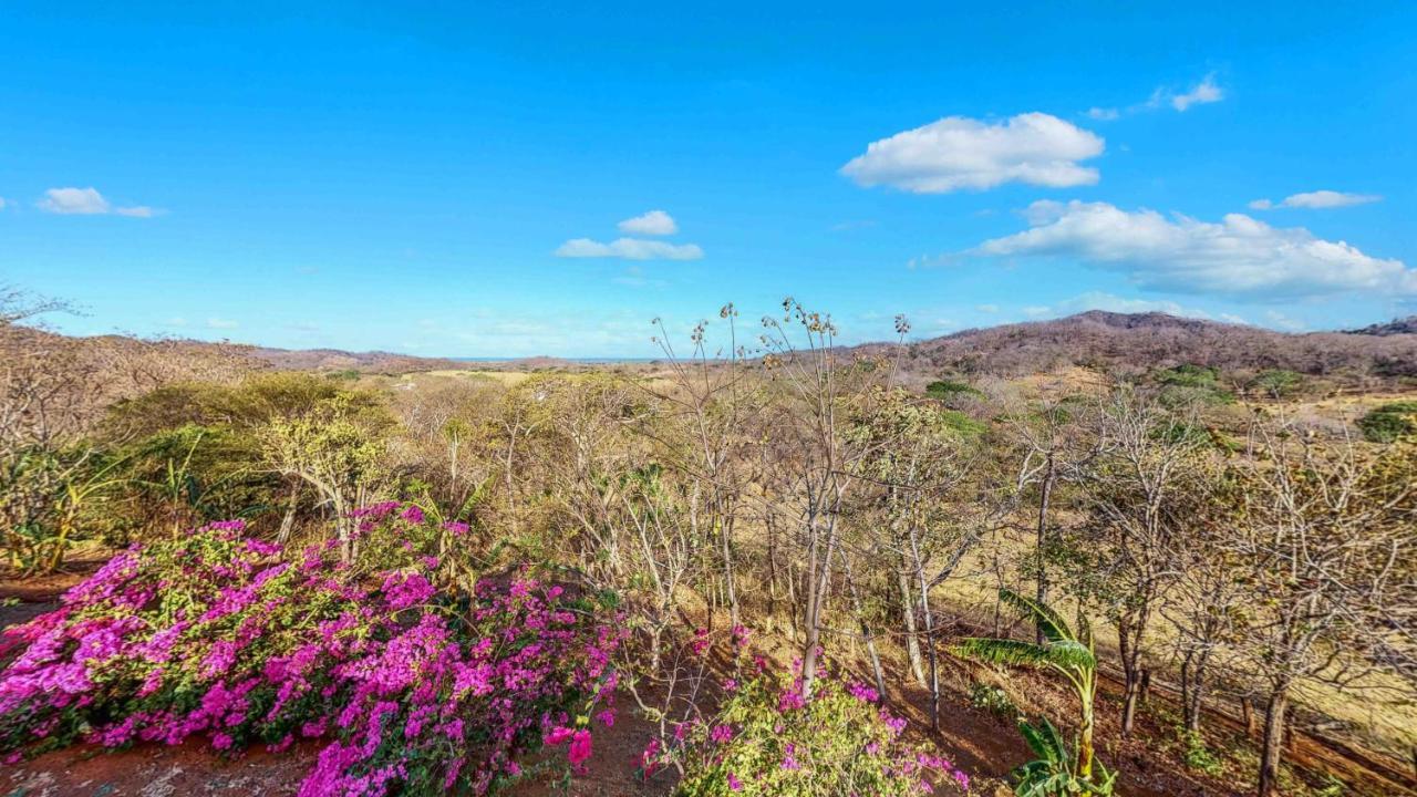 ホテルHyla Nature Retreat San José Pinilla エクステリア 写真