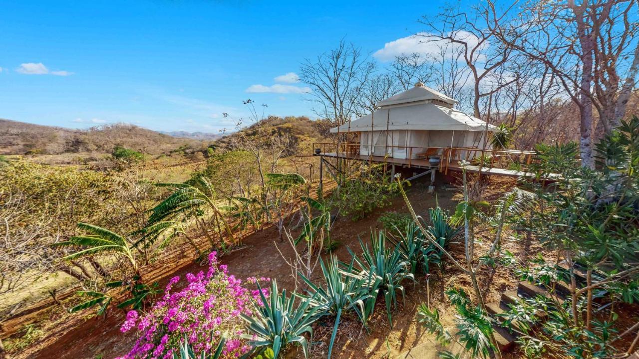 ホテルHyla Nature Retreat San José Pinilla エクステリア 写真